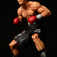 Mamoru Takamura -Fighting Pose-